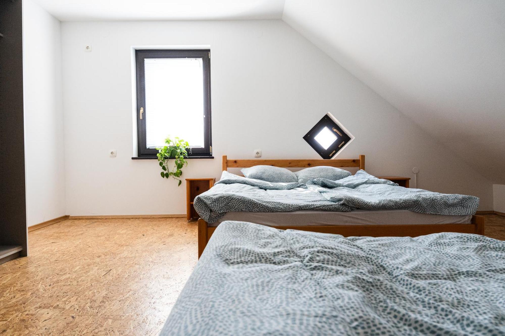 Bed and Breakfast Adventure Farm Store Exteriér fotografie